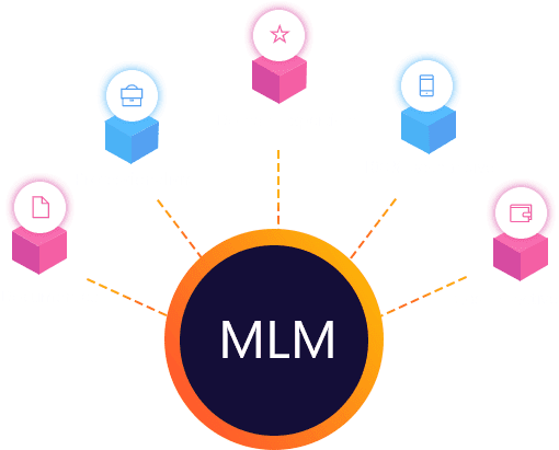 About RMM MLM Application